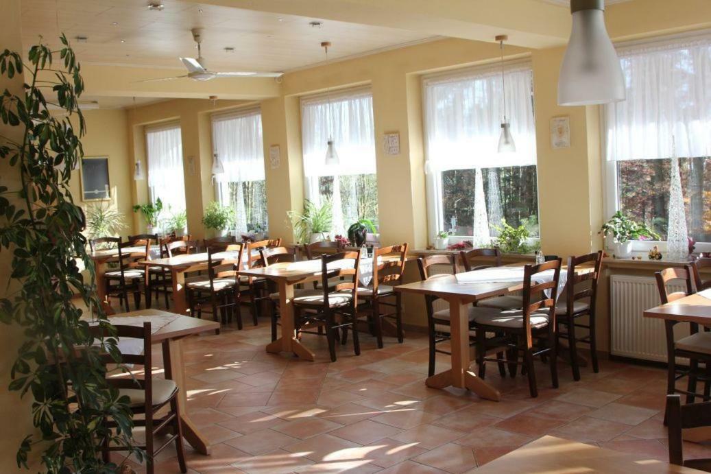 Pension Walddorf Winterberg Ngoại thất bức ảnh