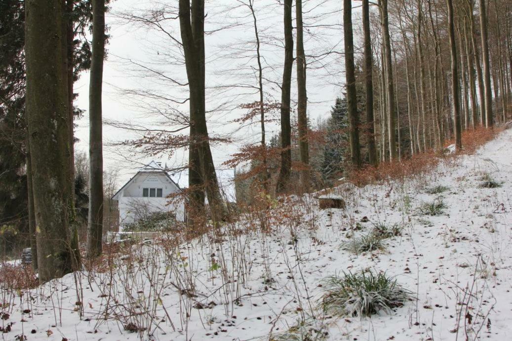 Pension Walddorf Winterberg Ngoại thất bức ảnh
