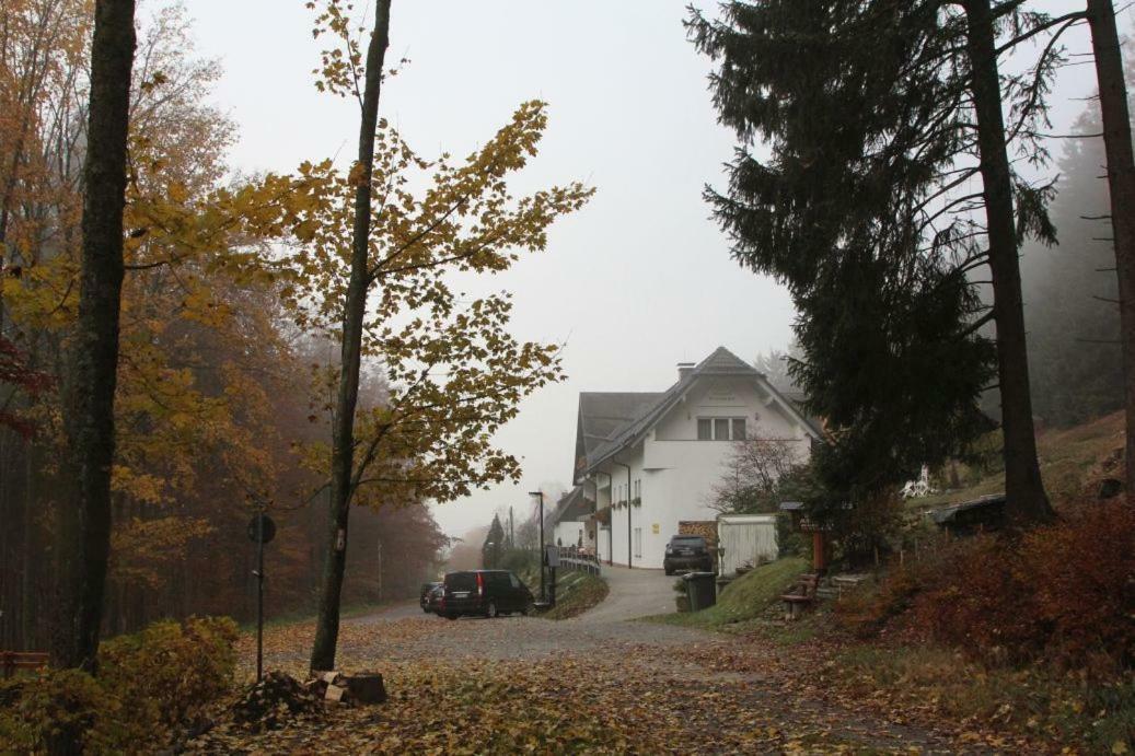 Pension Walddorf Winterberg Ngoại thất bức ảnh